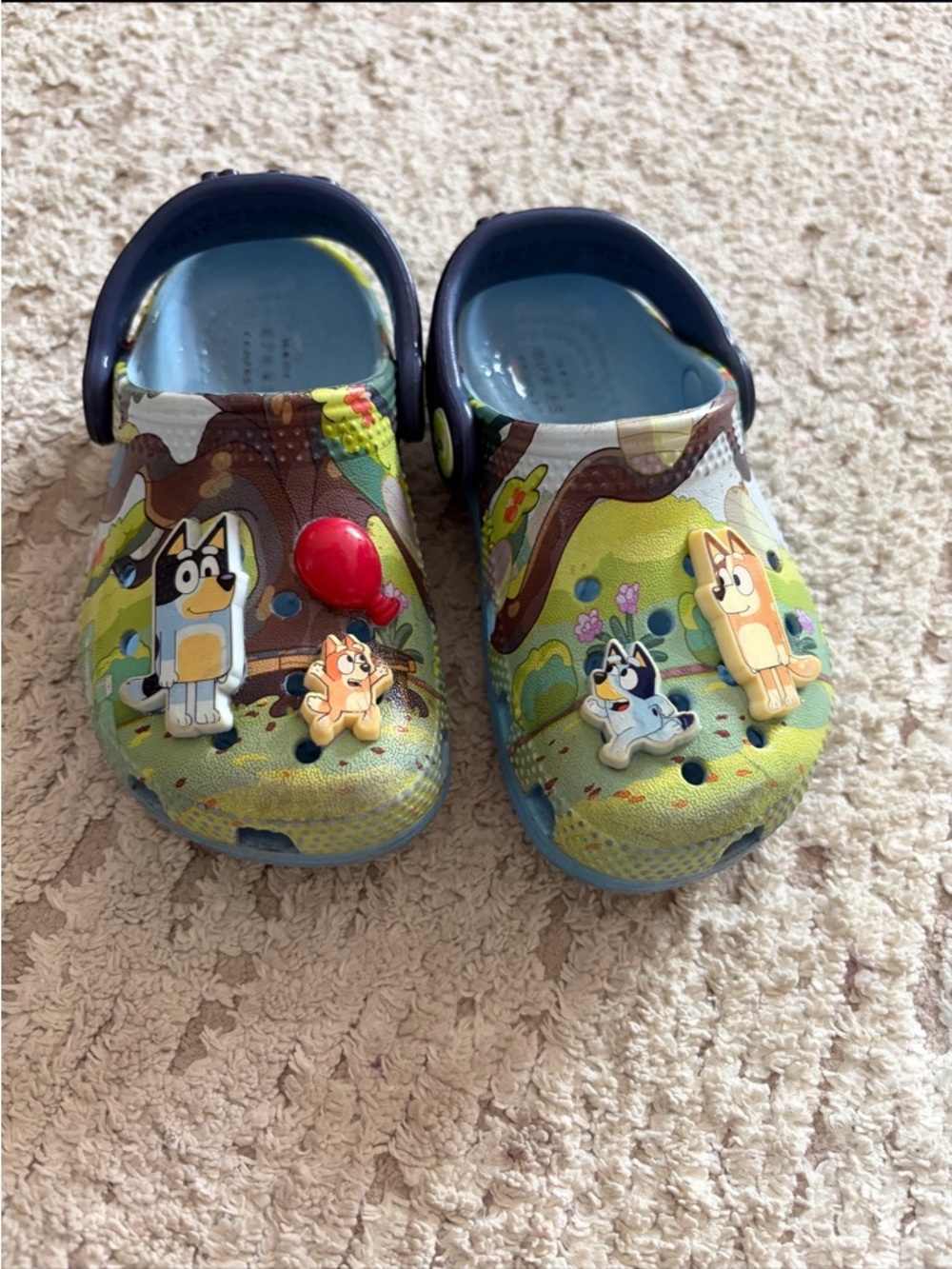 Kids Cartoon Crocs Shoes in Green and Blue